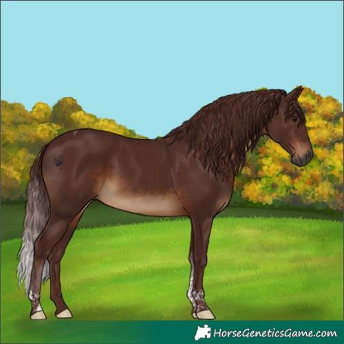 Horse Color:Gray Chocolate Brown Tobiano Rabicano