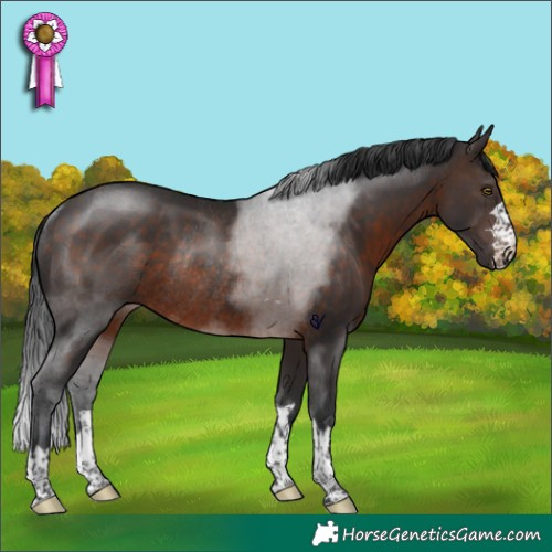 Horse Color:Brown Rabicano