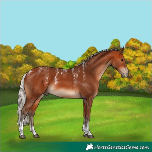 Horse Color:Powder White Silver Bay