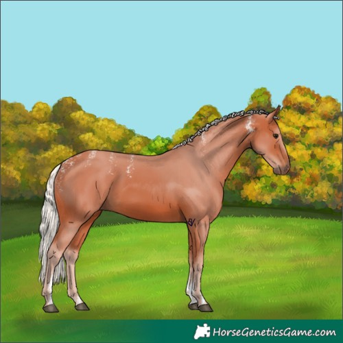 Horse Color:Powder White Silver Bay 