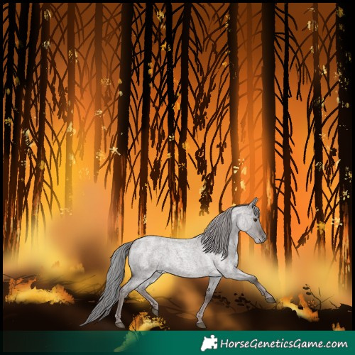 Horse Color:Platinum Liver Red Dun Roan