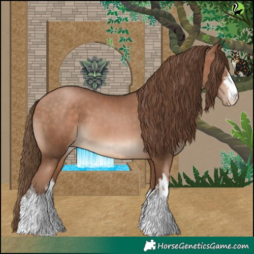 Horse Color:White Spotted Brown Pearl 