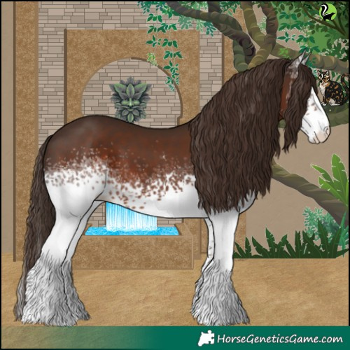 Horse Color:White Spotted Liver Chestnut