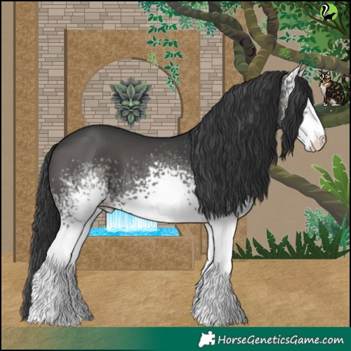 Horse Color:White Spotted Black