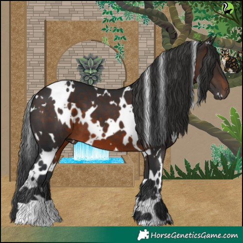Horse Color:White Spotted Brown
