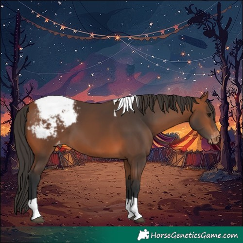 Horse Color:Bay Tobiano Snowcap