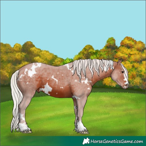 Horse Color:White Spotted Silver Brown 
