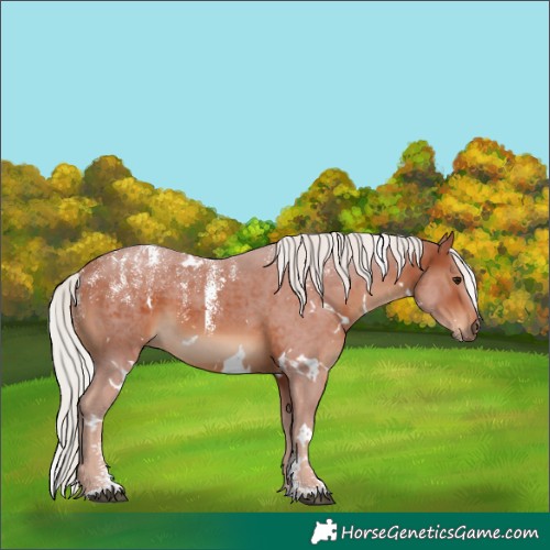 Horse Color:Powder White White Spotted Silver Bay