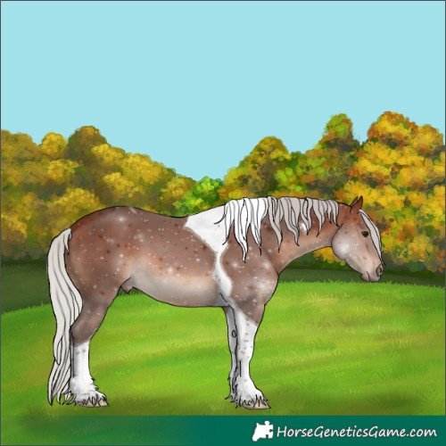Horse Color:Silver Bay Tobiano 