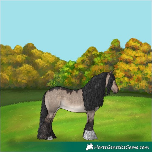 Horse Color:Brown Dun Mushroom