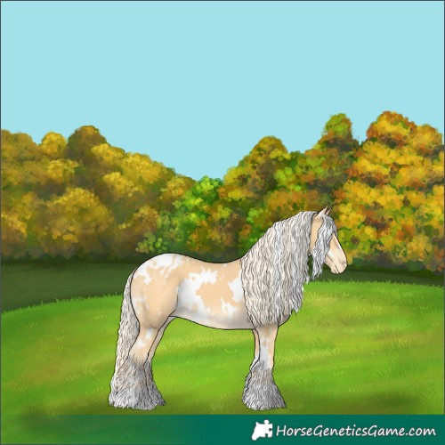 Horse Color:White Spotted Palomino Varnish