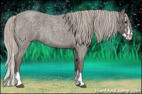 Horse Color:Silver Blue Roan Splash Rabicano 