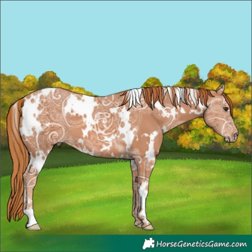 Horse Color:White Spotted Chestnut Ice 