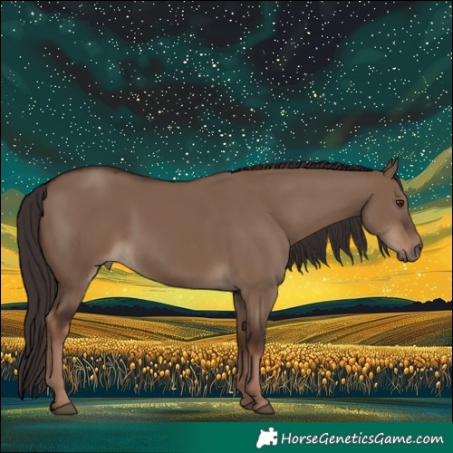 Horse Color:Liver Red Dun 