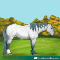 Horse Color:Watercolor Bay Roan Dun Near Leopard