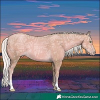 Horse Color:Watercolor Gold Cream Champagne Ice 