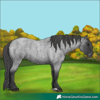 Horse Color:Blue Roan Blanket