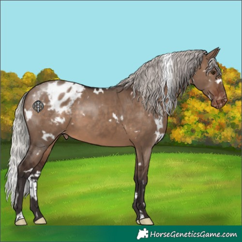 Horse Color:White Spotted Silver Brown Dun Blanket