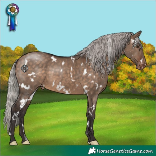 Horse Color:White Spotted Silver Brown Dun Appaloosa