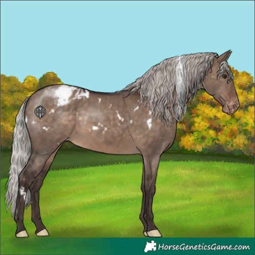 Horse Color:White Spotted Silver Brown Dun Appaloosa 