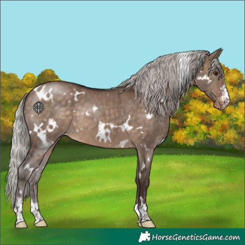 Horse Color:White Spotted Silver Brown Dun Appaloosa