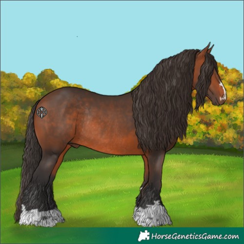 Horse Color:Bay Rabicano