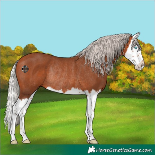 Horse Color:Silver Bay Splash Rabicano 