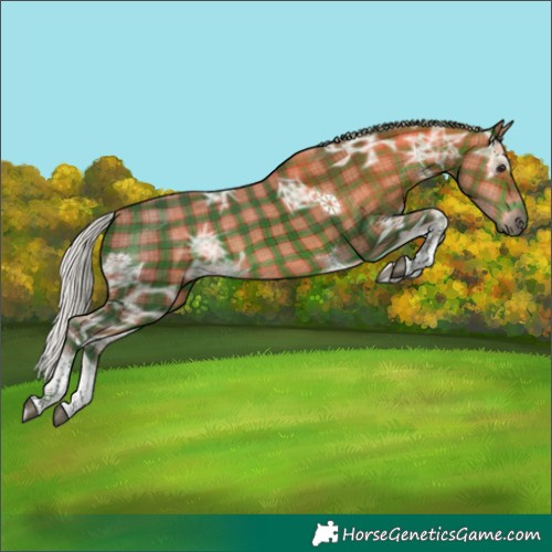 Horse Color:Plaid  Silver Brown Ice Tobiano 