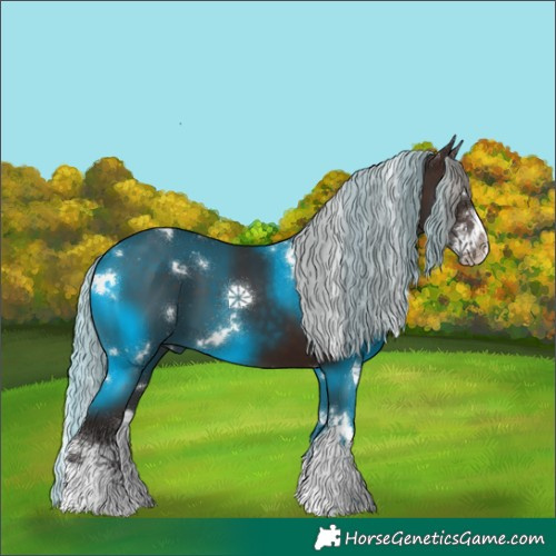 Horse Color:White Spotted Silver Brown Splash