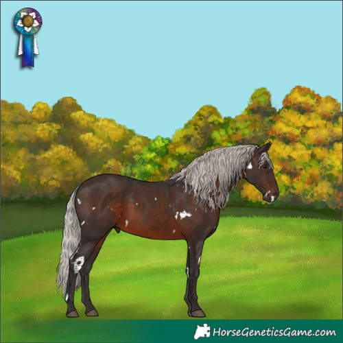 Horse Color:White Spotted Silver Brown