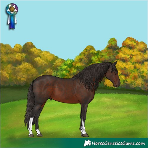 Horse Color:Liver Chestnut Tobiano 