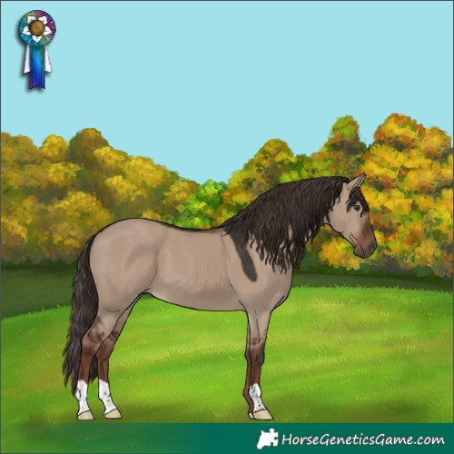 Horse Color:Liver Red Dun 