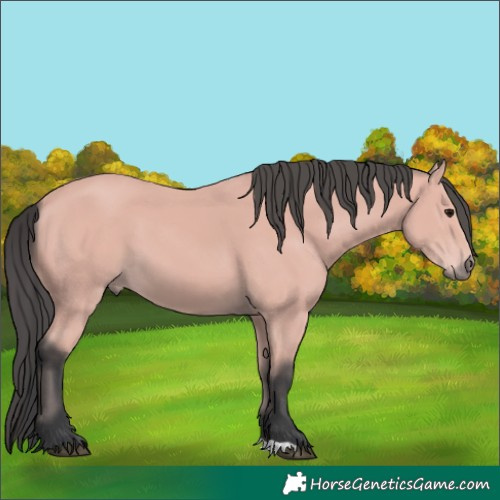 Horse Color:Platinum Bay 
