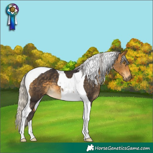 Horse Color:Silver Buckskin Tobiano