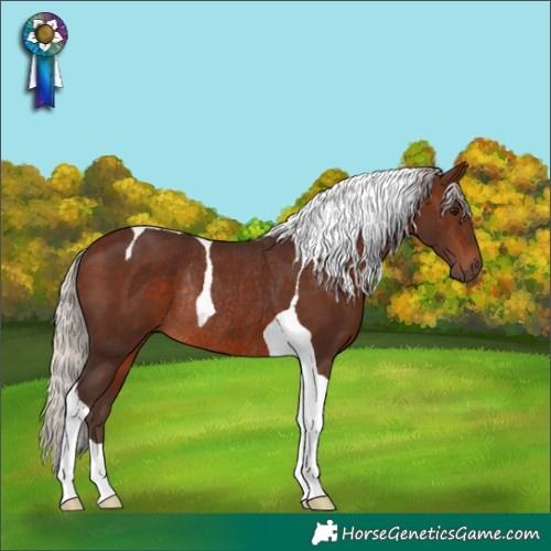 Horse Color:Silver Brown Tobiano Rabicano