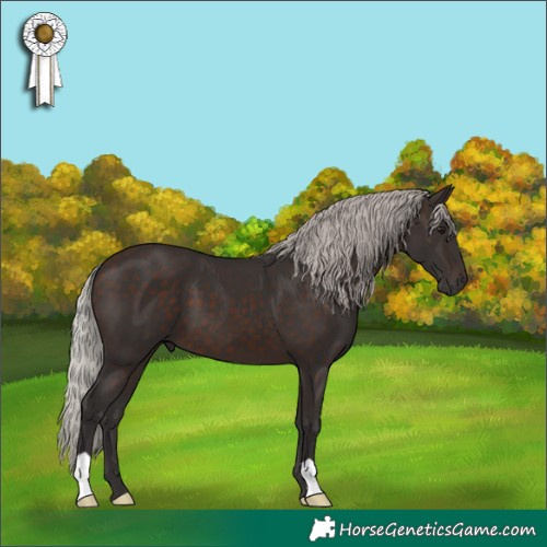 Horse Color:Silver Brown