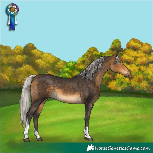 Horse Color:Silver Buckskin Tobiano