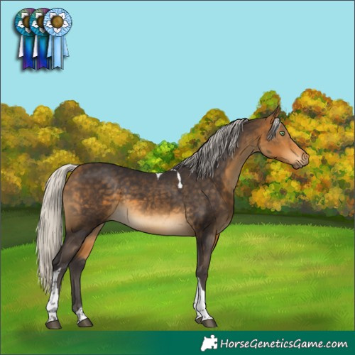 Horse Color:Silver Buckskin Tobiano