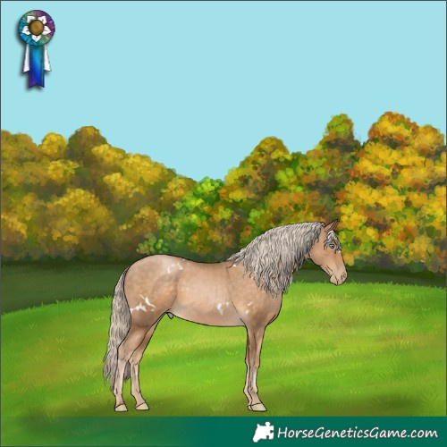 Horse Color:White Spotted Chocolate Palomino Pearl