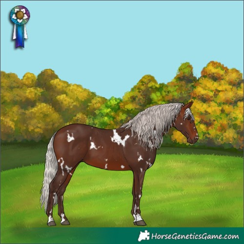 Horse Color:White Spotted Silver Brown 