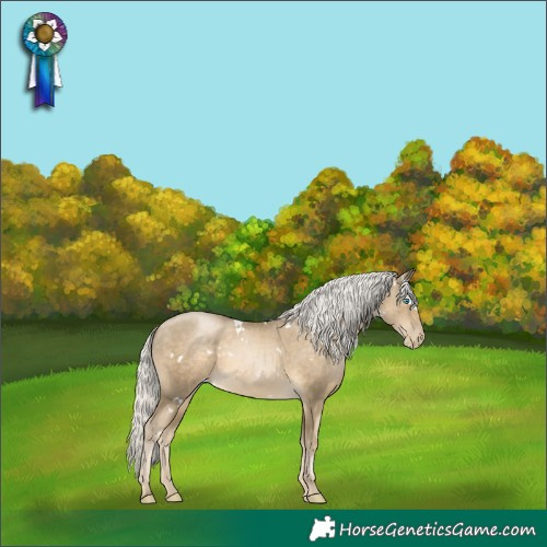 Horse Color:White Spotted Silver Smoky Black Pearl 