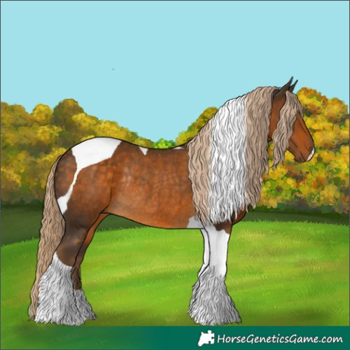 Horse Color:Chocolate Palomino Tobiano Rabicano