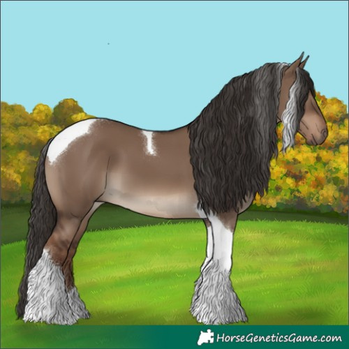 Horse Color:Liver Red Dun Tobiano 