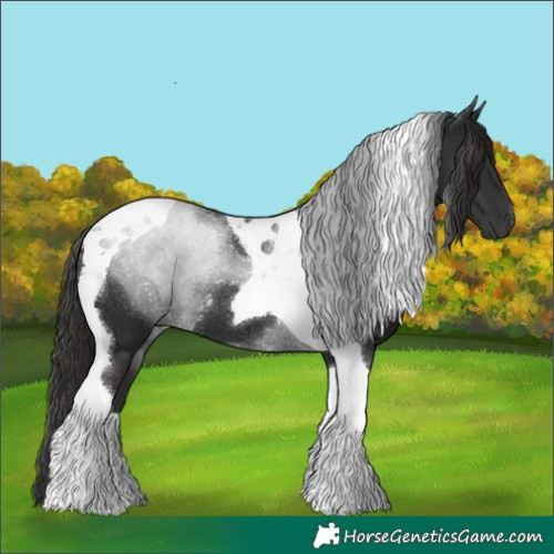 Horse Color:Liver Chestnut Tobiano 