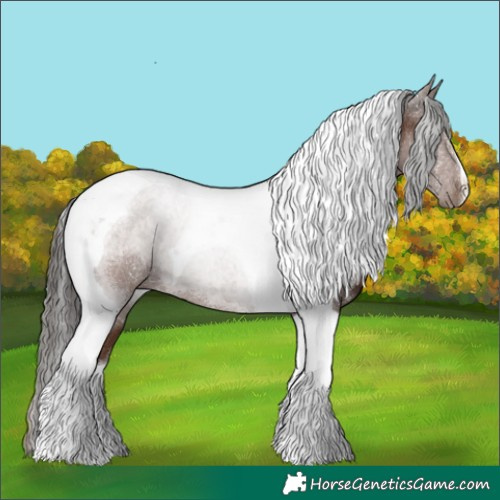Horse Color:Liver Chestnut Tobiano 