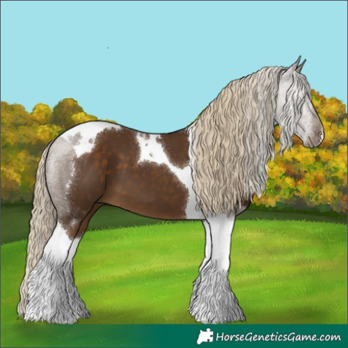 Horse Color:Chocolate Palomino Tobiano 