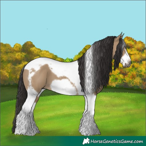 Horse Color:Gray Liver Red Dun Tobiano Frame