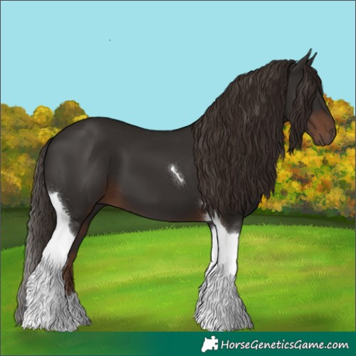 Horse Color:Liver Chestnut Tobiano 
