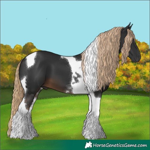 Horse Color:Gray Chocolate Palomino Tobiano