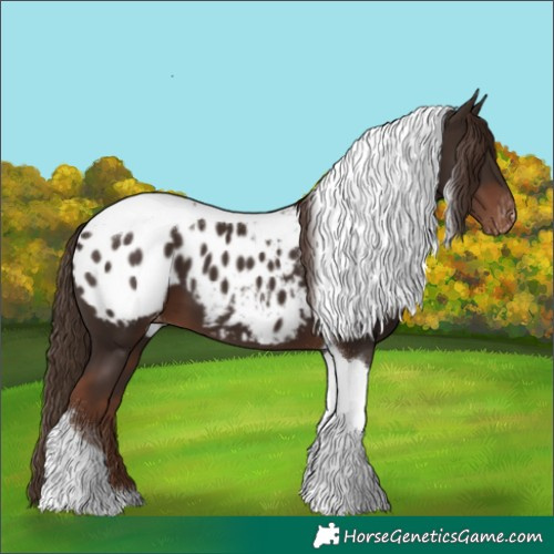 Horse Color:Liver Chestnut Tobiano Blanket 